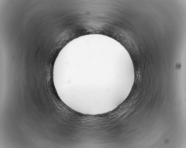 X0000098211012200805221622