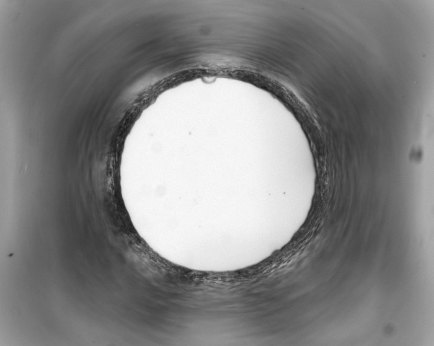 X0000098211016200805221622