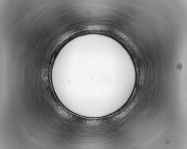 X0000098211017200805221622