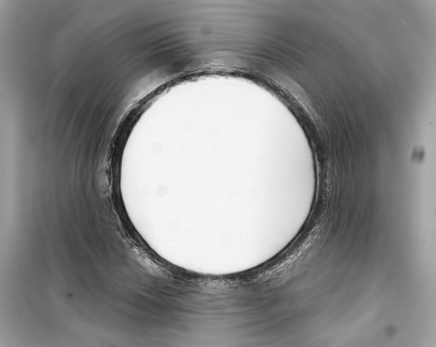 X0000098211018200805221622