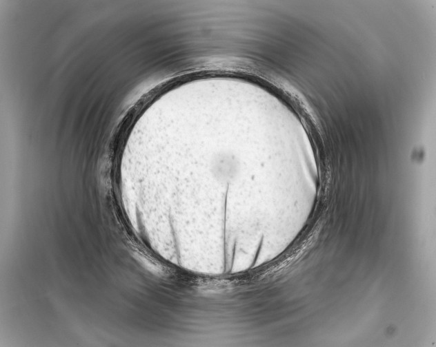 X0000098211019200805221622