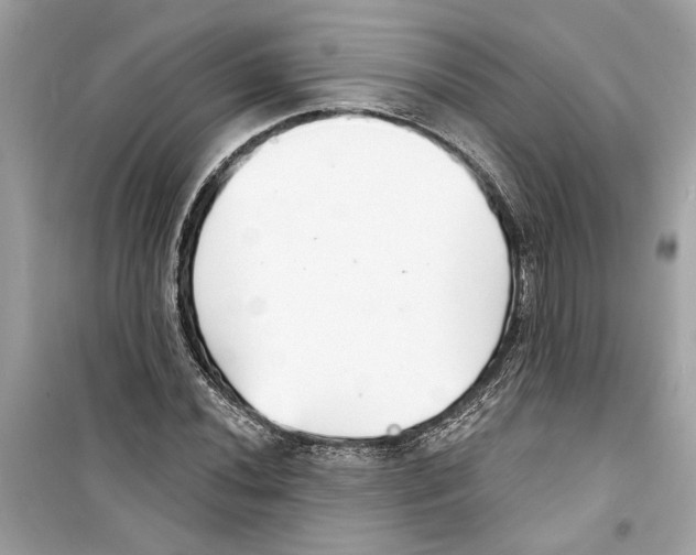 X0000098211020200805221622
