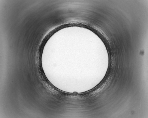 X0000098211021200805221622