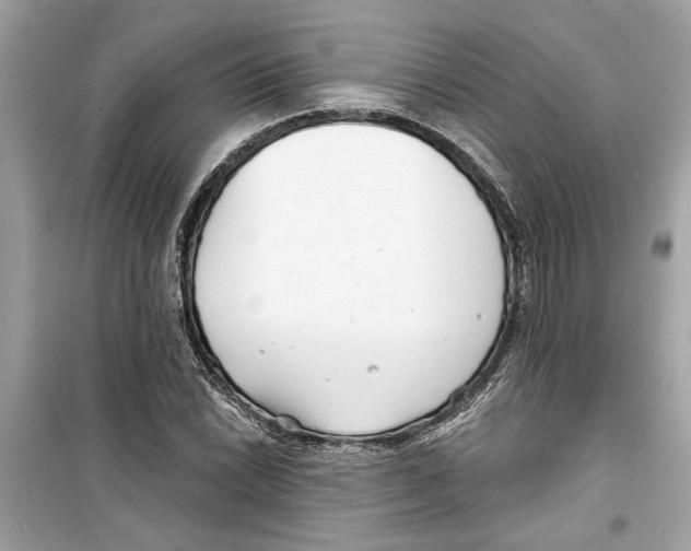 X0000098211022200805221622