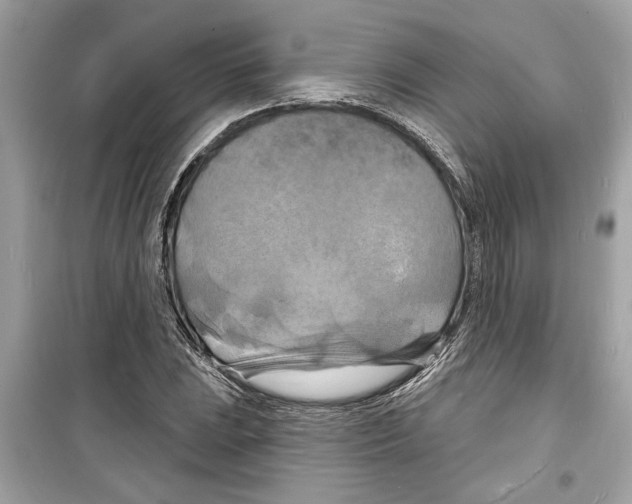 X0000098211023200805221622