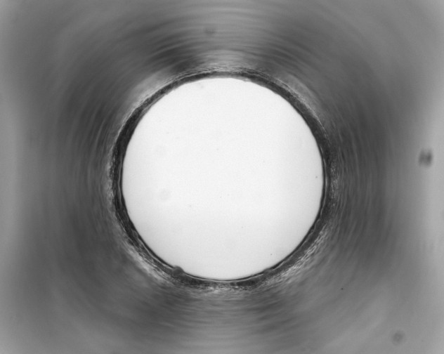 X0000098211026200805221622