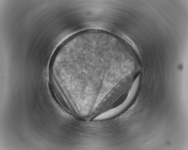 X0000098211028200805221622