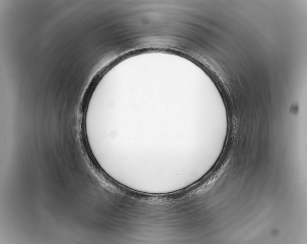X0000098211029200805221622