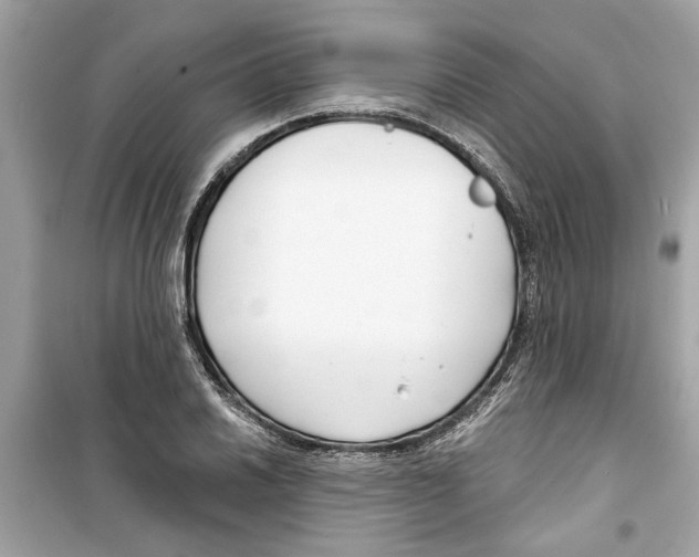 X0000098211030200805221622