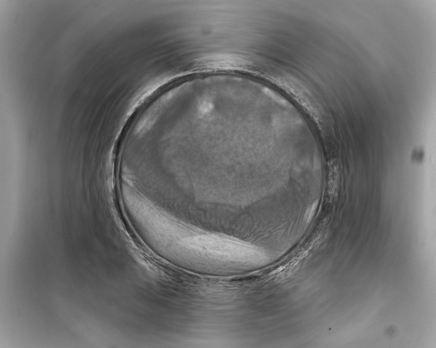 X0000098211031200805221622