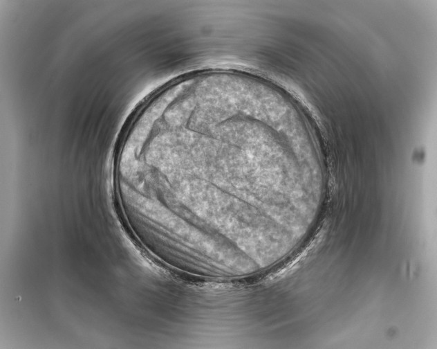 X0000098211032200805221622