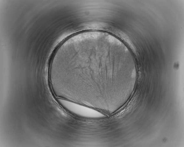 X0000098211035200805221623