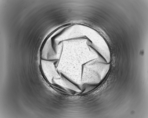 X0000098211036200805221623