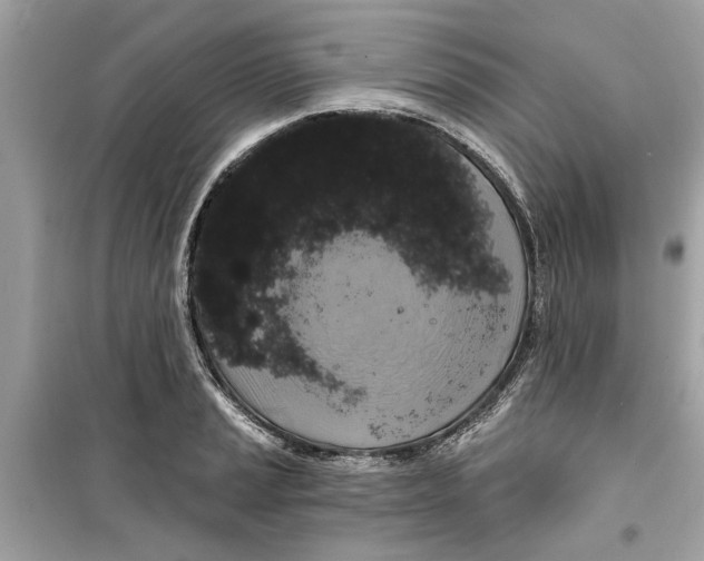 X0000098211037200805221623