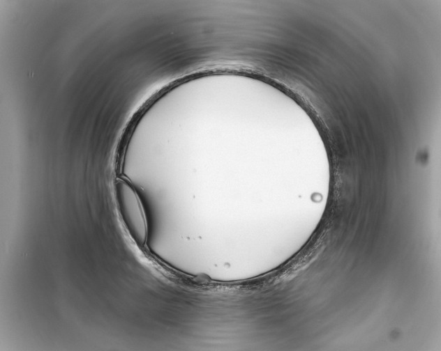 X0000098211038200805221623