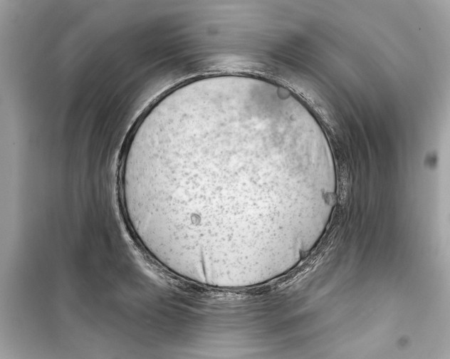 X0000098211039200805221623