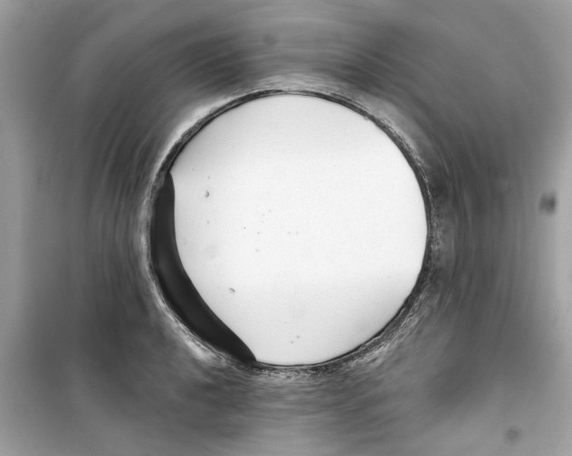 X0000098211040200805221623