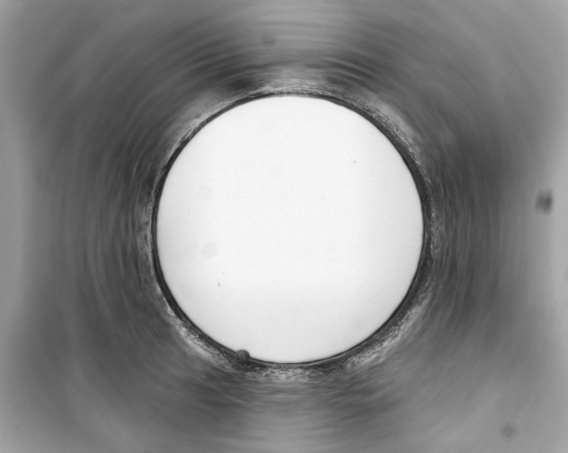 X0000098211041200805221623