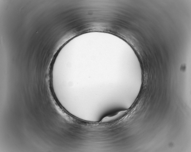 X0000098211042200805221623