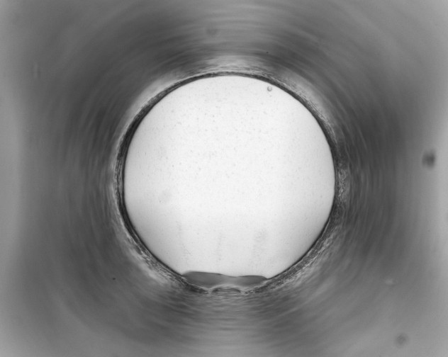 X0000098211043200805221623
