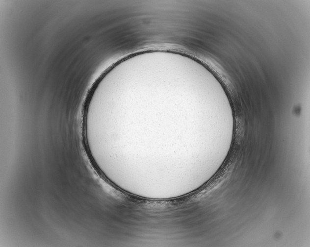 X0000098211046200805221623