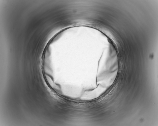 X0000098211047200805221623
