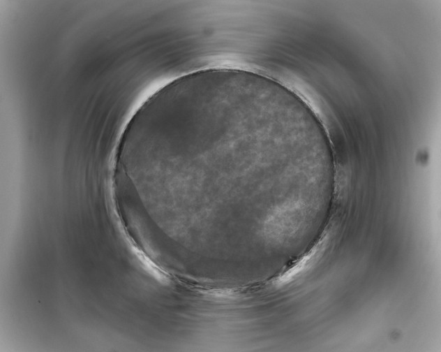 X0000098211048200805221623