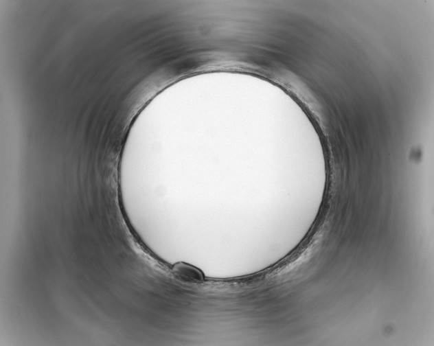 X0000098211049200805221623