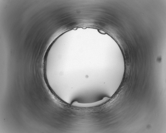 X0000098211050200805221623