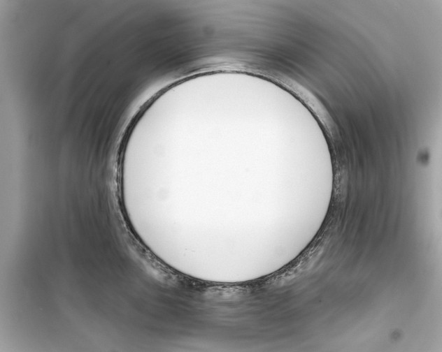 X0000098211051200805221623