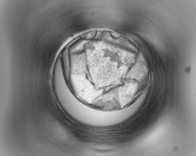 X0000098211052200805221623