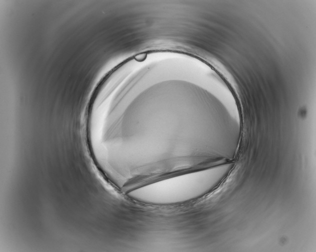 X0000098211053200805221623