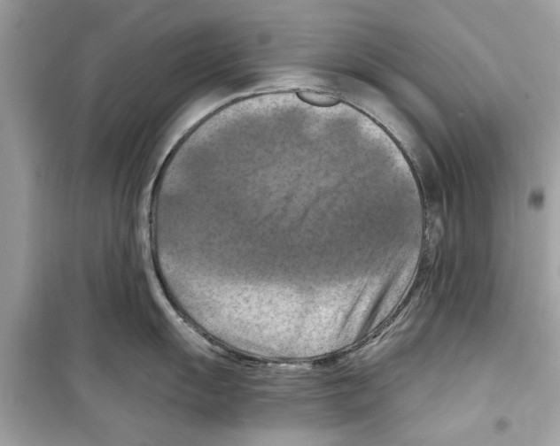 X0000098211055200805221623