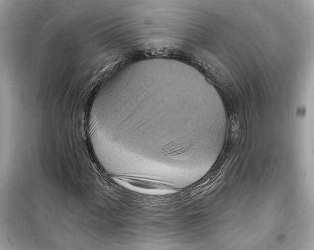 X0000098211060200805221622