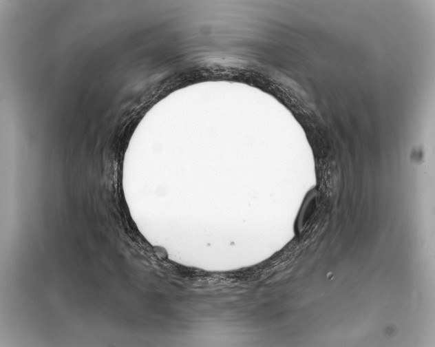 X0000098211061200805221622