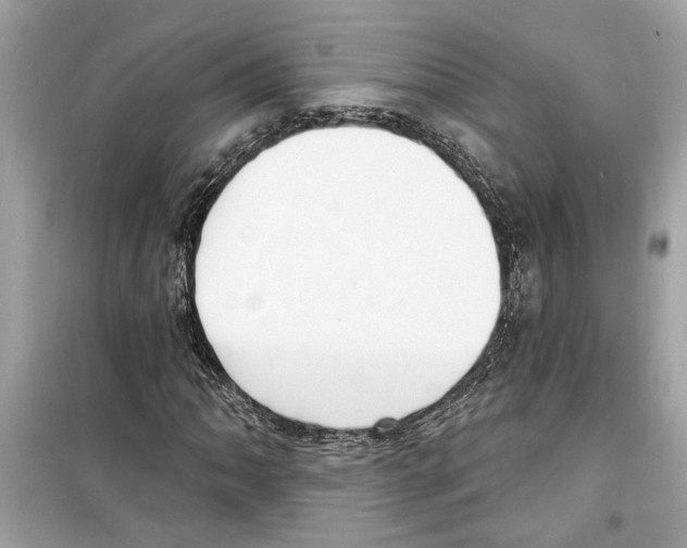 X0000098211062200805221622