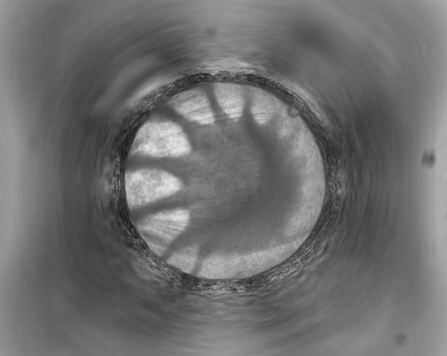 X0000098211063200805221622