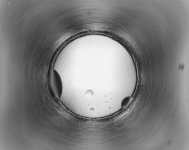 X0000098211065200805221622
