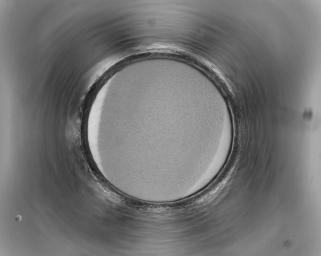 X0000098211066200805221622