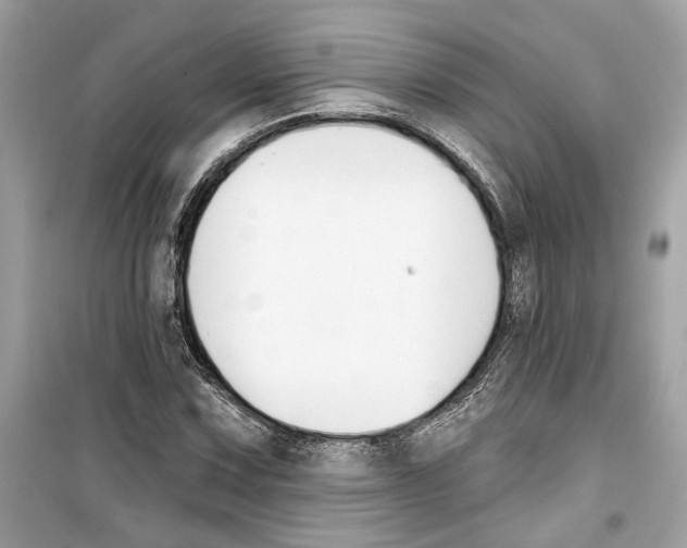 X0000098211067200805221622