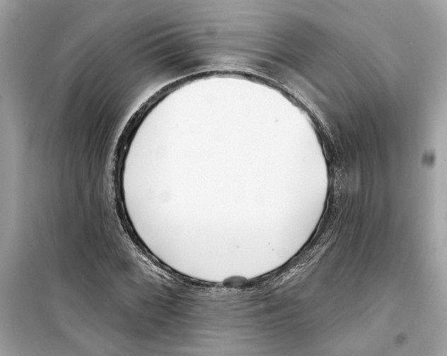 X0000098211068200805221622