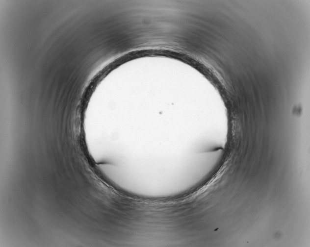 X0000098211069200805221622