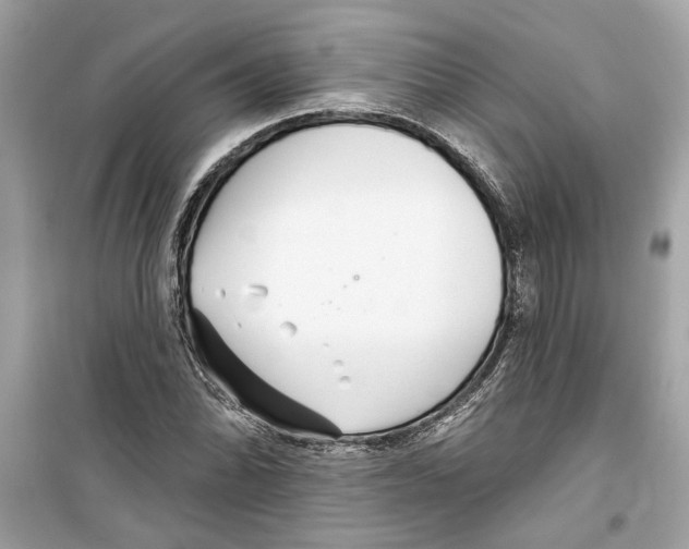 X0000098211070200805221622