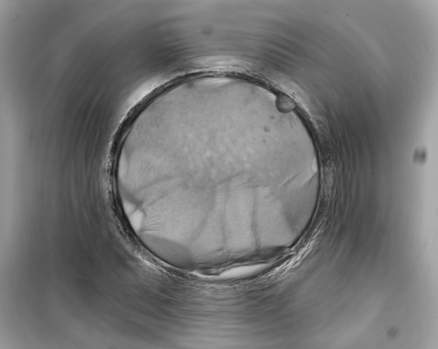 X0000098211071200805221622