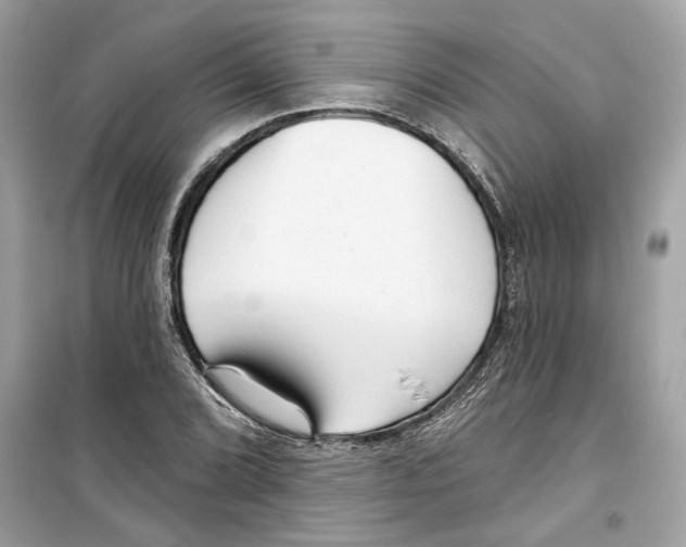 X0000098211072200805221622