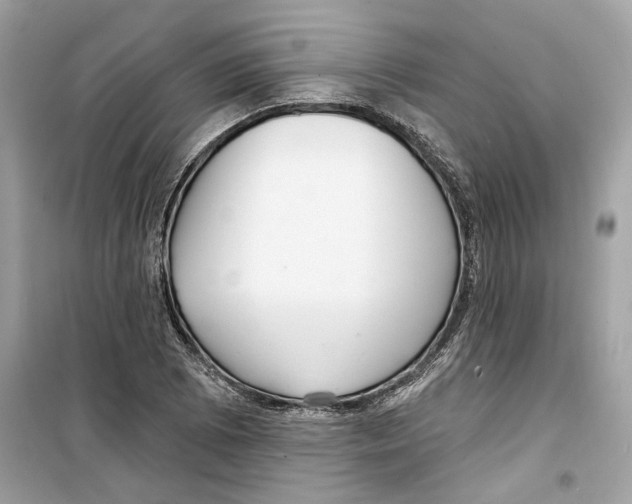 X0000098211073200805221622