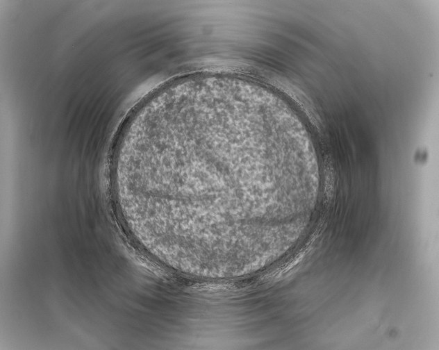 X0000098211074200805221622