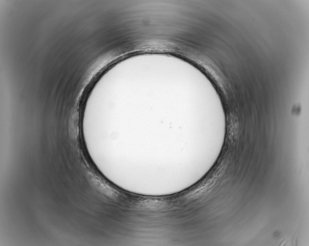 X0000098211075200805221622