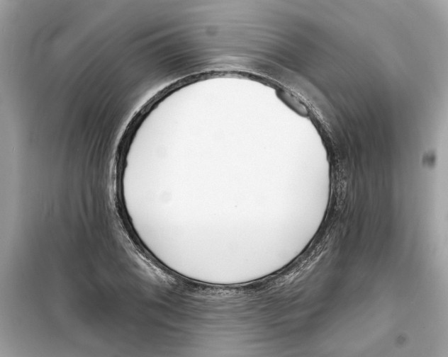 X0000098211076200805221622