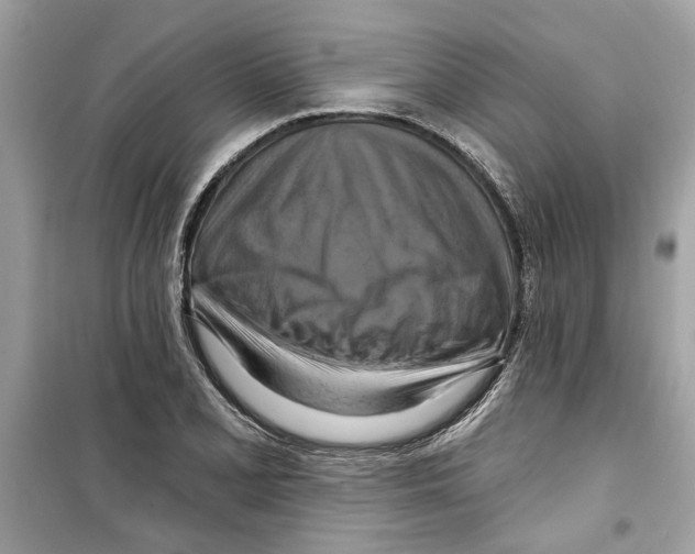 X0000098211077200805221622